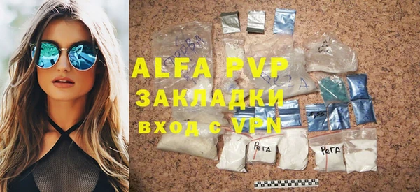 прущие грибы Медвежьегорск