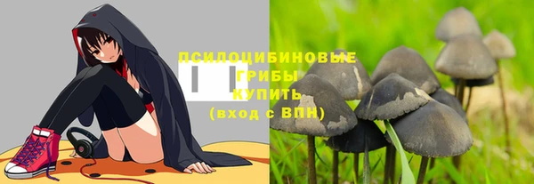 первитин Березники