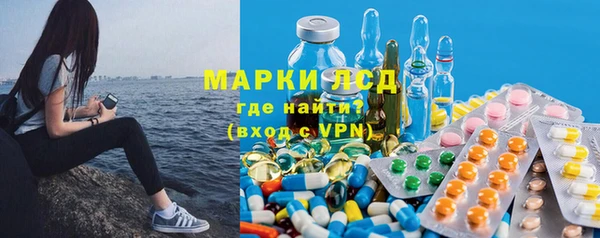 стафф Новый Уренгой