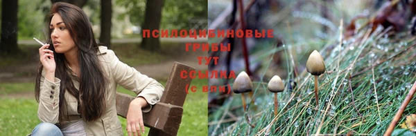 круглые Магас