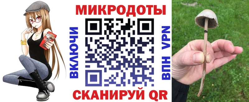 купить закладку  Дорогобуж  Галлюциногенные грибы Cubensis 