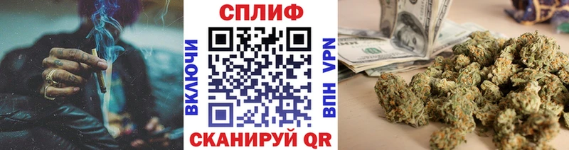 Канабис сатива наркошоп Дорогобуж